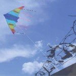 Dios no mando a su hijo para condenar al mundo