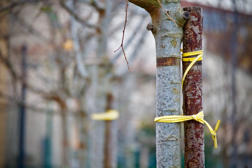 La oración de amistad