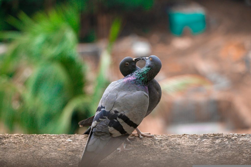 Un proyecto de vida…