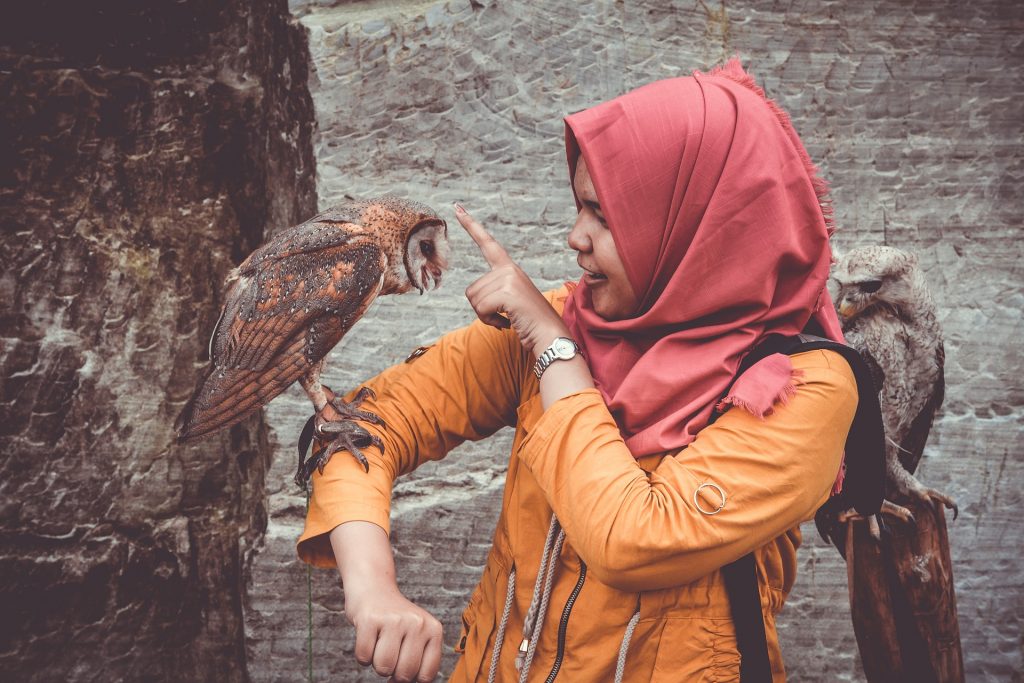 Cuestion de confianza