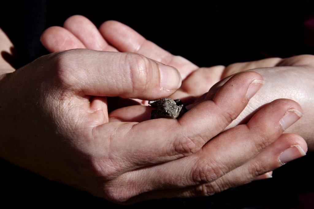 Por el bautismo nos incorporamos a Cristo