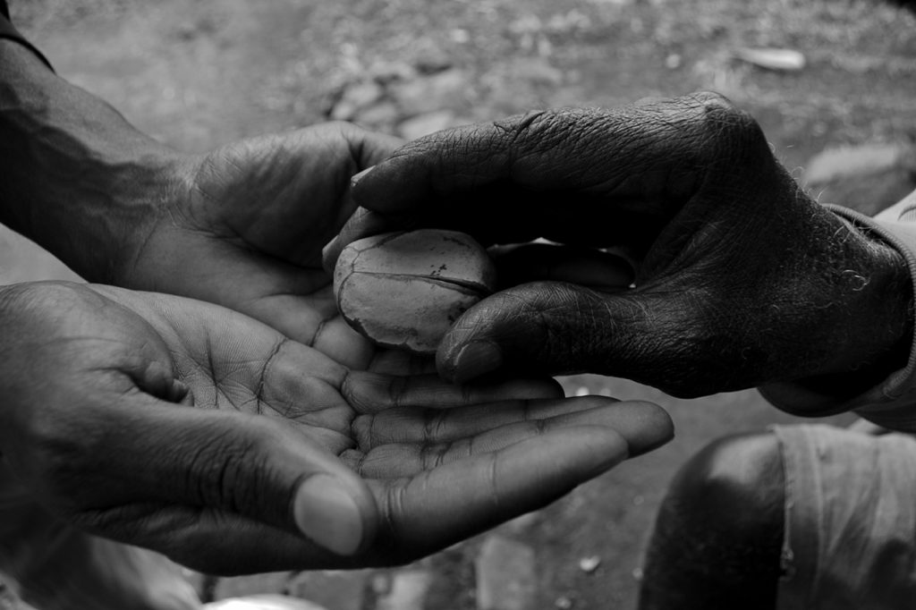 Qué podemos ofrecerle