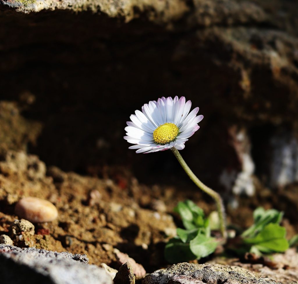 Quítate el Vestido de Luto