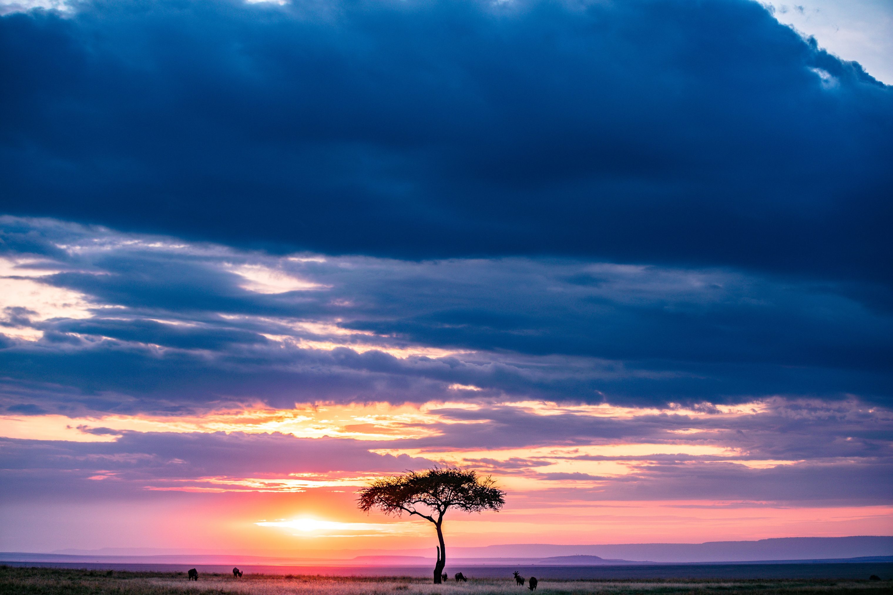 Comienza Una Nueva Vida