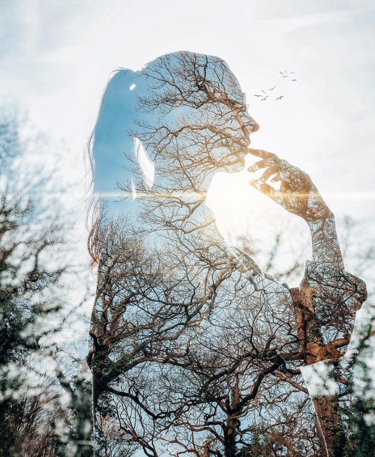 Sigamos Haciéndonos La Pregunta