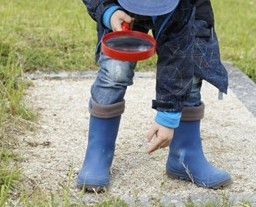 Con Él llegara el amor impregnado de verdad, justicia y paz