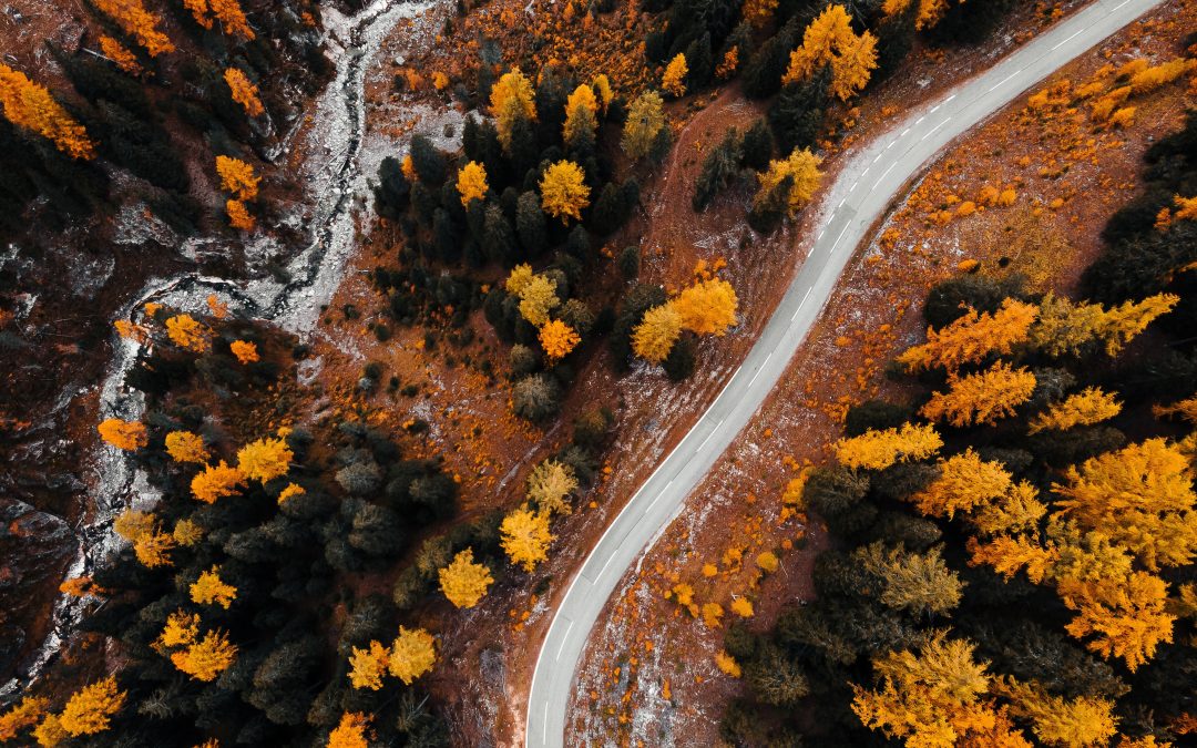 “V Domingo de Cuaresma”